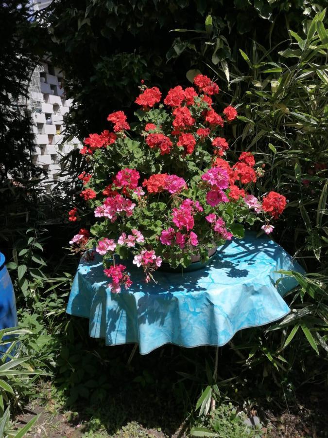 Ferienwohnung Roth Am Naturschutzgebiet Bodensee Eriskircher Ried Bagian luar foto